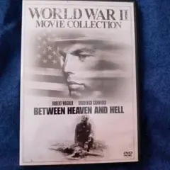 ならず者部隊　アメリカ映画dvd