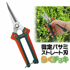 剪定ばさみ ストレート刃 剪定用はさみ 枝きり ガーデニング 家庭菜園 枝 木 生花 農作業 工具 送料無料 3M◇ 剪定バサミM