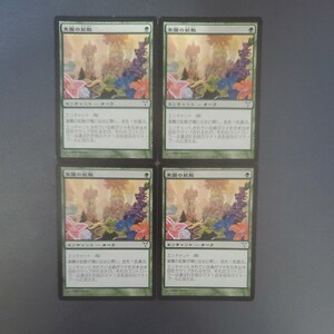 MTG 楽園の拡散 DIS 日本語 4枚セット