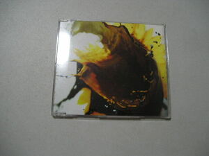 ☆ＣＤ☆THE BACK HORN 　『光の結晶』