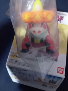 アチゲータのみ ポケモンスケールワールド パルデア地方