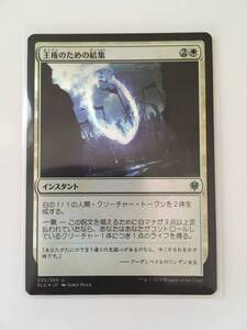 MTG　王権のための結集/Rally for the Throne　(ELD/エルドレインの王権,日) 1枚(Foil)