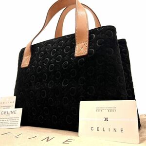 1円《 正規品・極美品 》CELINE セリーヌ ハンドバッグ ビジネス メンズ レディース サルキー トリオンフ 総柄 ヌメ革 レザー スエード 黒