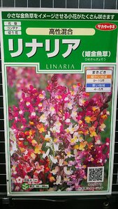 ３袋セット リナリア 高性 姫金魚草 姫 金魚草 種 郵便は送料無料