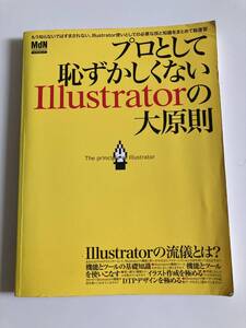 プロとして恥ずかしくないIllustratorの大原則　情報通信　コンピュータ　イラスト