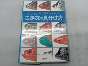 詳細図鑑 さかなの見分け方 講談社ペック