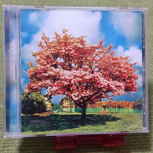 【名盤！】一青窈 ハナミズキ シングルCD 年年年上歳 