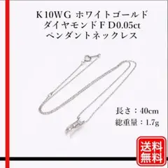 Ｋ10ＷＧ ダイヤモンドＦＤ0.05ct ペンダントネックレス 　レディース