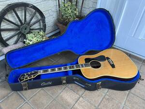 1979年 Guild D55 NT