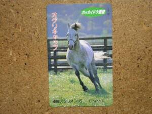 I434・オグリキャップ 競馬 テレカ