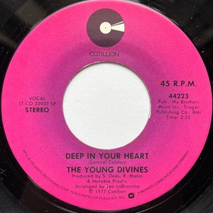 【試聴 7inch】The Young Divines / Deep In Your Heart 7インチ 45 muro koco フリーソウル サバービア 