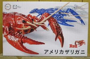 フジミ ★　自由研究 アメリカザリガニ (Red)