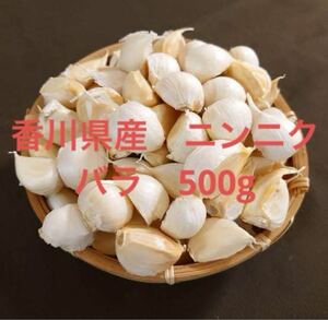  香川県産 無農薬 ニンニク バラ　500g