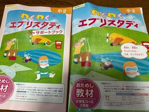 Z会小学生コース　わくわくエブリスタディ　サポートブックお試し教材