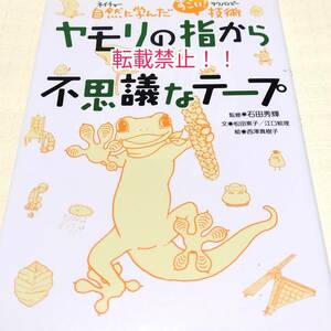 ヤモリの指から不思議なテープ☆松田素子★江口絵理★石田秀輝★西澤真樹子★