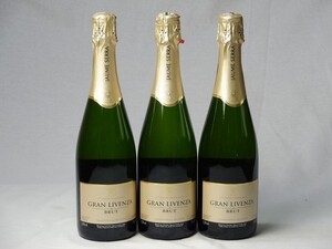 ワインセット スパークリングワイン辛口3本セット ハウメ・セラ ブリュット スペインスパークリングワイン750ml×3本