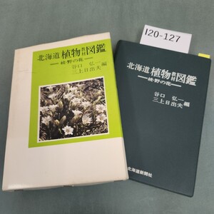 I20-127 北海道 植物教材図鑑〈続・野の花〉北海道新聞社 書き込みあり