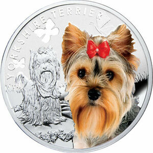 ニウエ　2014年　銀貨　1ドル　Yorkshire Terrier Man’s Best Friends　@5-73