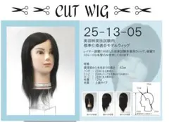 美容師試験用 CUT WIG 25-13-05 （2頭）