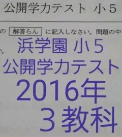 浜学園　小５　2016年　算数 国語 理科 　3教科