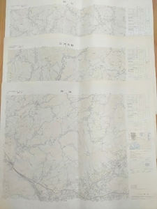 古地図　40年以上前　貴重　昭和　国土地理院　1/50000 地図　昭和55御油　同51三河大野　同49田口　豊川市　本宮山　長篠　鳳来寺山　他