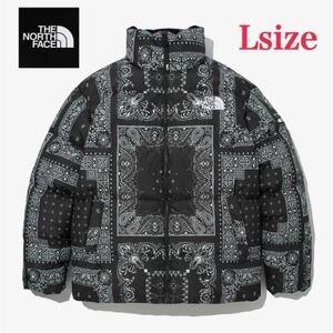 THE NORTH FACE ノースフェイス ノベルティ ローフティ ダウンジャケット 人気 アウトドア ストリート アウター バンダナ柄 海外限定