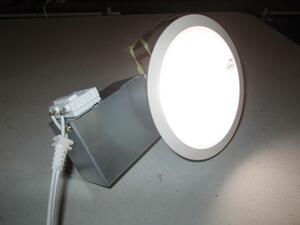 ２０１５年製 DAIKO 大光電機 LEDダウンライト DDL-007WW (軒下兼用)白熱灯100W相当１２５パイ