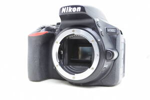 ★緊急特価品★Nikon ニコン D5600 ボディ #3649