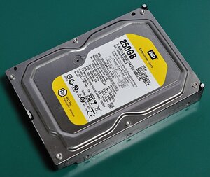 WD WD2503ABYZ (250GB/SATA)[管理:SA1037]