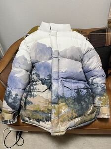 新品 GUCCI x The North Face ダウンジャケット XLサイズ 限定品グッチ　ノースフェイス