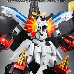 限定 スーパーロボット超合金 レプリガオガイガー＆勝利の鍵セット5