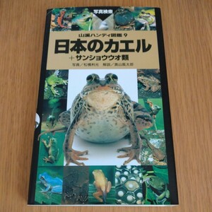 日本のカエル サンショウウオ類 山渓ハンディ図鑑9