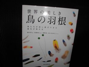 ■世界の美しき鳥の羽根 藤井幹 ■