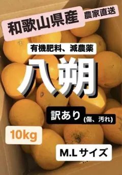 旬！！八朔 はっさく 10kg 送料込み