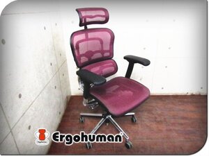 ■美品■Ergohuman/エルゴヒューマン■高級■Ergohuman Basic■アルミポリッシュ■ヘッドレスト■メッシュ■デスクチェア■13万■smm9979k