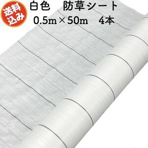 防草シート 白色（サンホワイト） 0.5m×50m 4本セット 抗菌剤 UV剤入り 反射 除草シート 太陽光 野菜 畑 農業