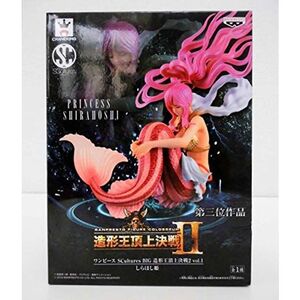 ワンピース SCultures BIG 造形王頂上決戦? vol.1 しらほし姫 第三位作品