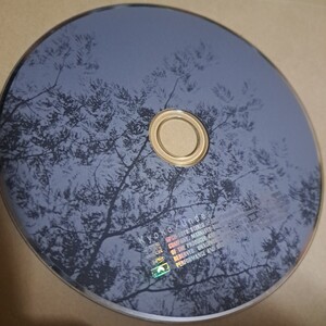 杏子 Kyoko Under the Silk Tree CD ディスクのみ