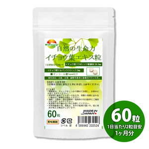 イチョウ葉エキス粒 60粒 約1ヵ月分 【含有率に着目】2粒中イチョウ葉フラボノイド配糖体 28.8mg イチョウ葉テルペンラクトン 7.2mg