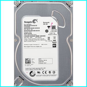 Seagate ST250DM000-1BD141-501 DP/N 0YVMKX 3.5インチ SATA600 250GB 1190回 10710時間