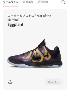 Nike Kobe 5 Protro ナイキ コービー5 27cm