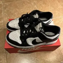 NIKE DUNK LOW RETRO 30cm