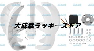 風力発電機、600W DC 12V低風速風力タービン発電機ランタン垂直風発電機キット風制御キット、良好な防水性と耐砂性能(白い)