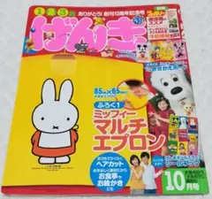 ⭐即購入可⭐ げんき 2007年平成19年10月号 今井ゆうぞう はいだしょうこ