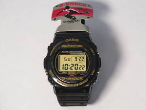 CASIO【未使用品】カシオ G-SHOCK 初期スティング DW-5700-9GV