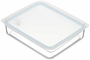 パール金属 Easy Clean 浅型 密閉 保存容器 L ブルー 【日本製】 HB-2629