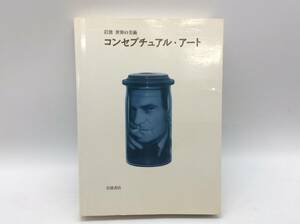 ＃4052 コンセプチュアル・アート 岩波 世界の美術 トニー ゴドフリー 木幡和江 岩波書店 希少 レア 現状品