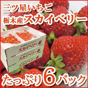 【Good】たっぷり6パック入り！大量3箱セット！プレミアムいちご 栃木産『スカイベリー』ご予約