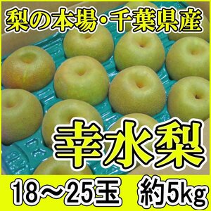 【Good】大量10箱出品中！梨 千葉県産『幸水梨』18～25玉5kg ご予約