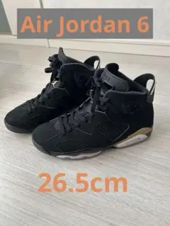 Air Jordan 6 Retro Defining Moments 26.5